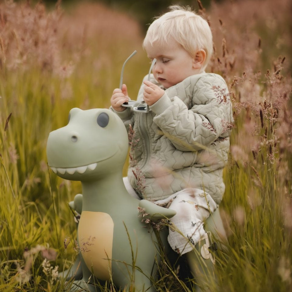 Find That Hippo - Hopping Animal - Dinosaur - Mabel & Fox