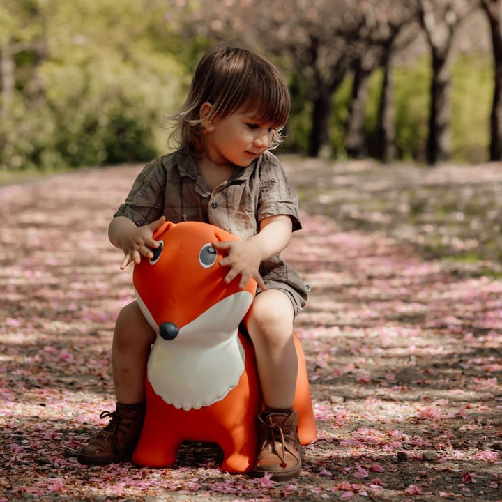 Find That Hippo - Hopping Animal - Fox - Mabel & Fox