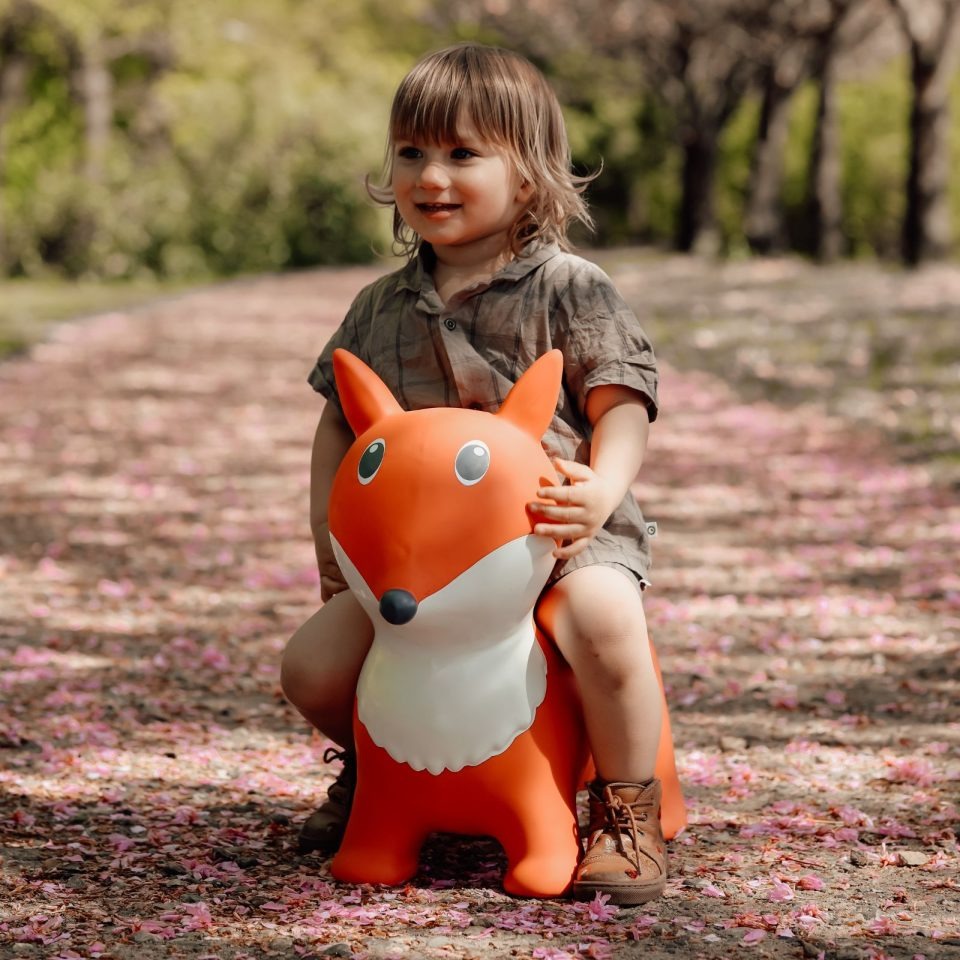 Find That Hippo - Hopping Animal - Fox - Mabel & Fox