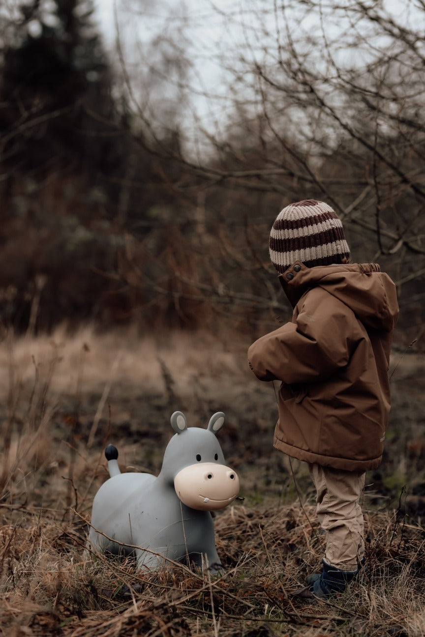 Find That Hippo - Hopping Animal - Hippo - Mabel & Fox