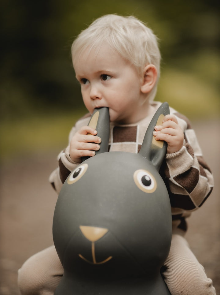 Find That Hippo - Hopping Animal - Rabbit - Mabel & Fox