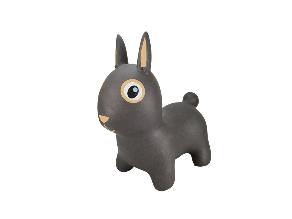 Find That Hippo - Hopping Animal - Rabbit - Mabel & Fox