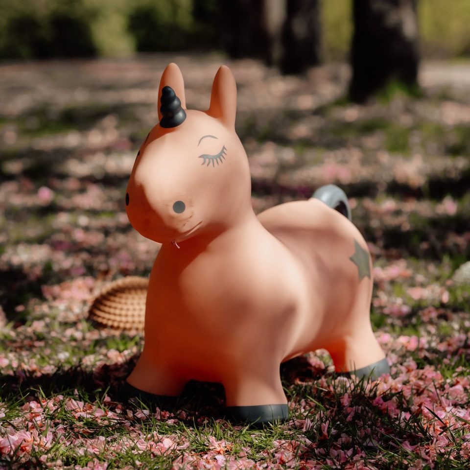 Find That Hippo - Hopping Animal - Unicorn - Mabel & Fox