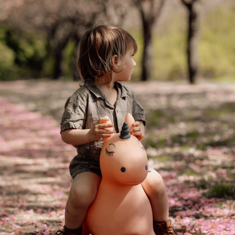 Find That Hippo - Hopping Animal - Unicorn