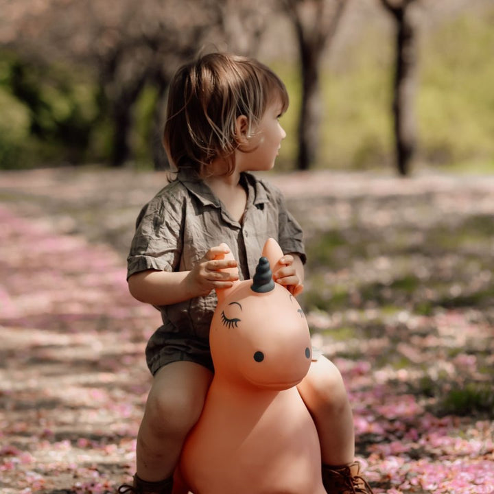 Find That Hippo - Hopping Animal - Unicorn