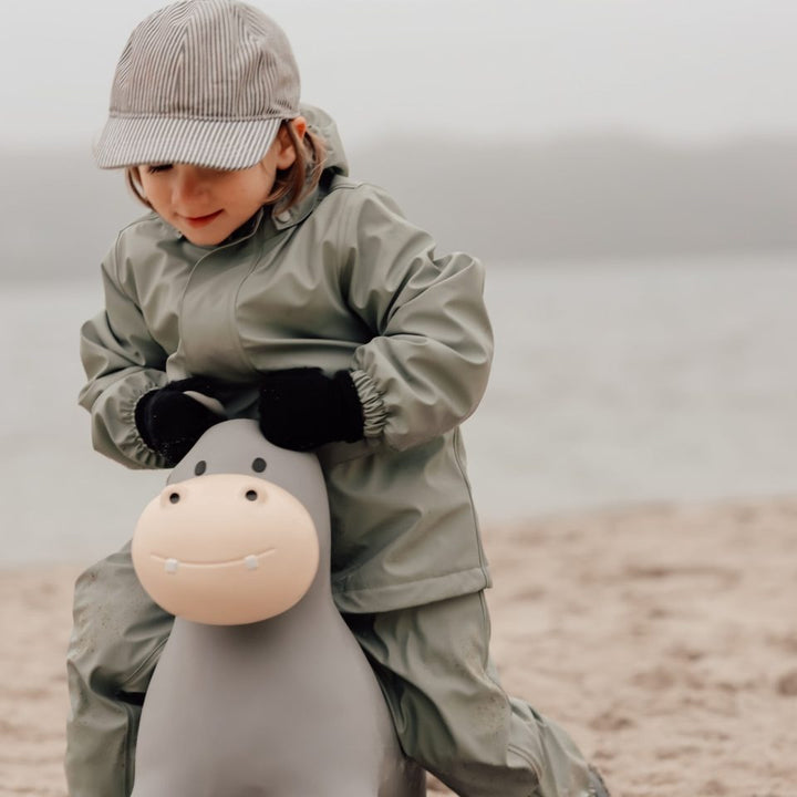 Find That Hippo - Hopping Animal - Hippo