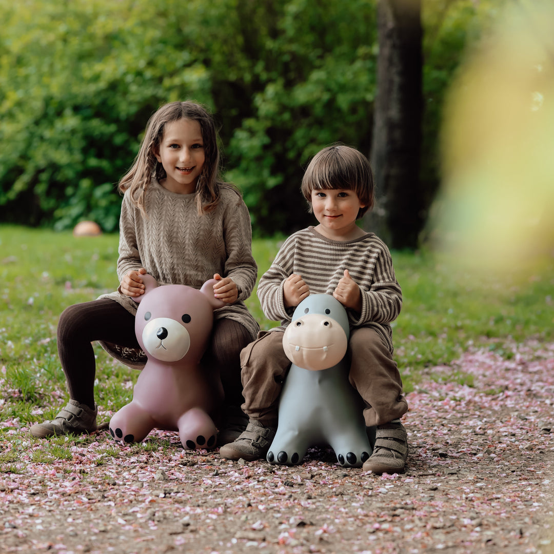 Find That Hippo - Hopping Animal - Hippo