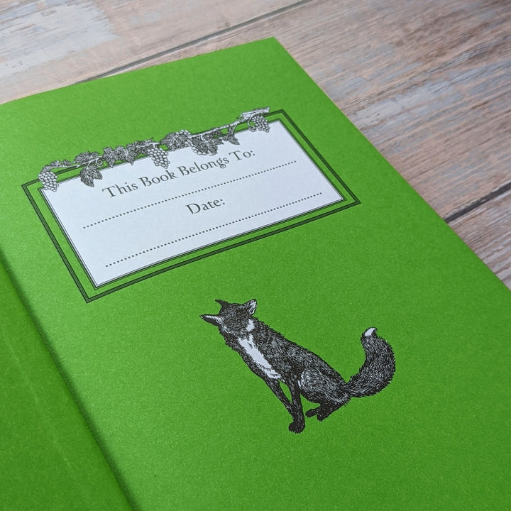 Illustrated Children's Classic Collection -  Aesop's Fables - Mabel & Fox