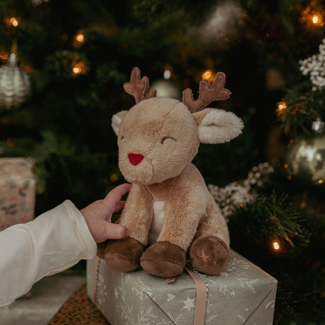 Little Dutch - Christmas Giftbox