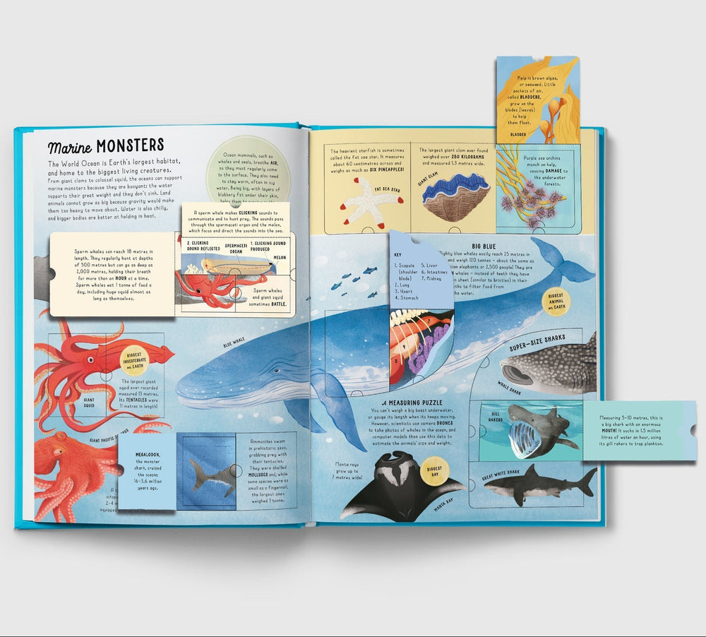 Lift-the-flap Encyclopaedia of Oceans - Mabel & Fox