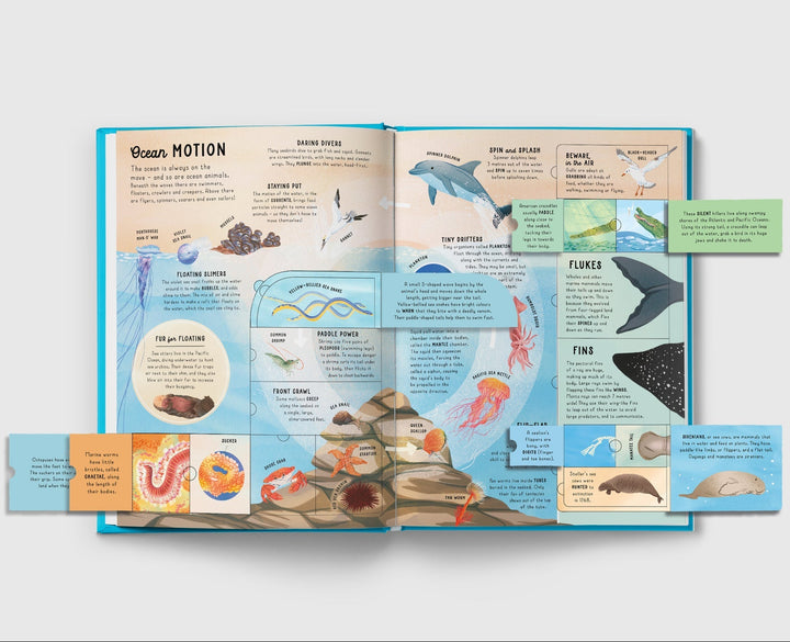 Lift-the-flap Encyclopaedia of Oceans - Mabel & Fox