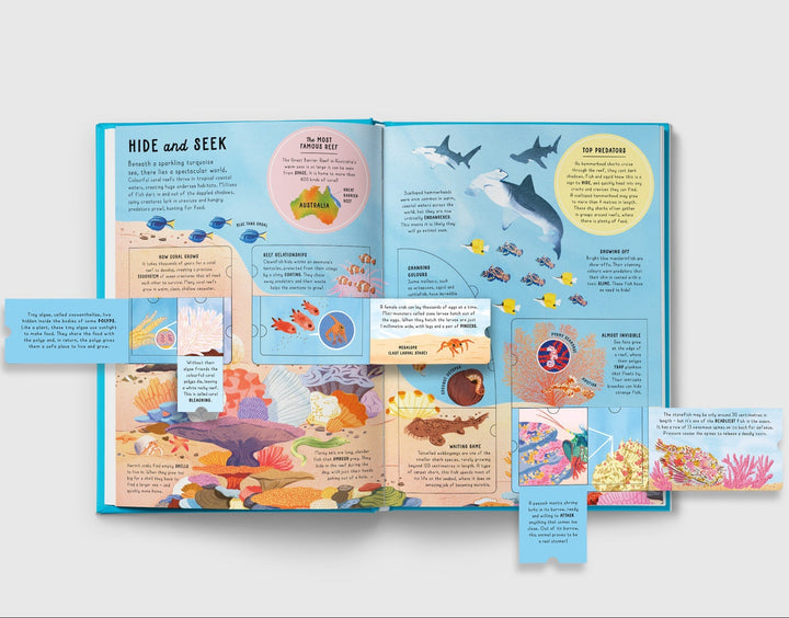 Lift-the-flap Encyclopaedia of Oceans - Mabel & Fox
