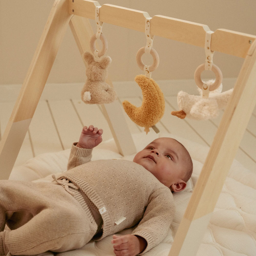 Little Dutch - Baby Gym - Newborn Naturals - Mabel & Fox