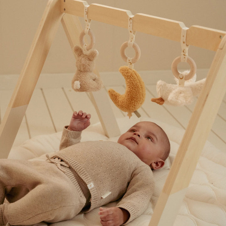 Little Dutch - Baby Gym - Newborn Naturals - Mabel & Fox