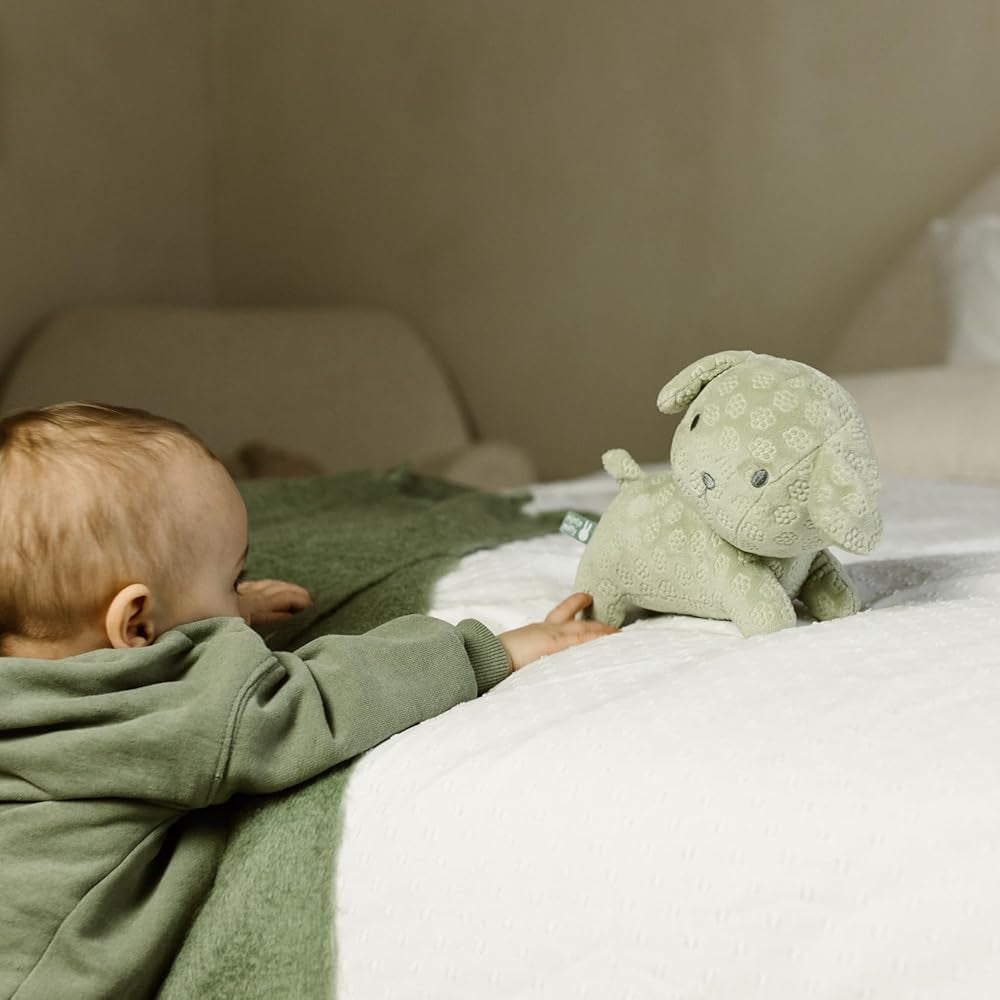 Little Dutch x Miffy - Snuffie Cuddle - Green Flower 25cm - Mabel & Fox