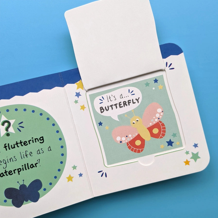 Little Wonders My First Mini Lift the Flap Book - Bugs - Mabel & Fox