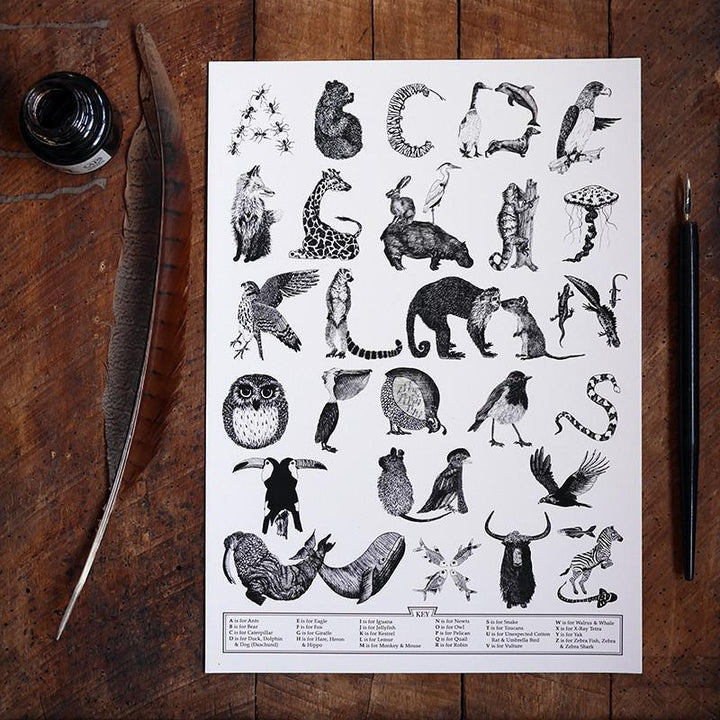 Lucy Coggle - Animal Alphabet Typographic Print - A4 - Mabel & Fox
