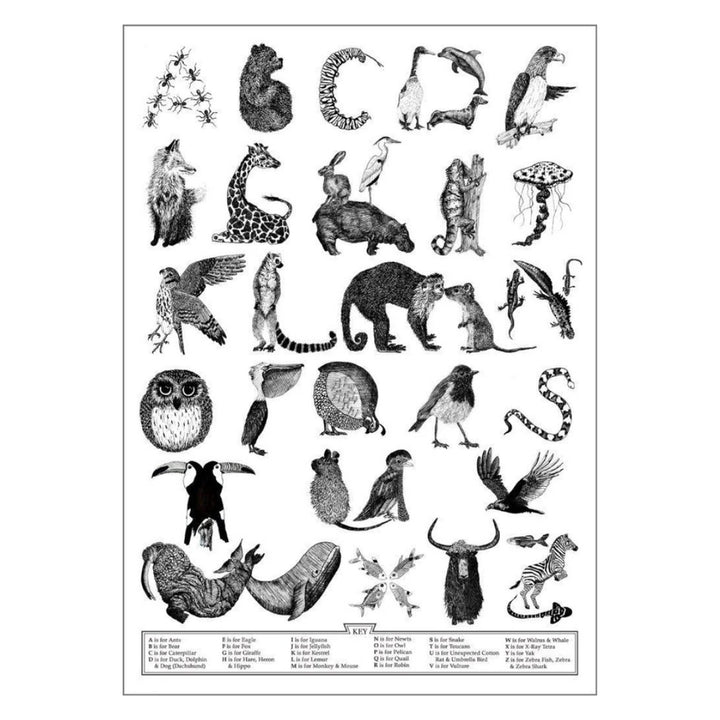 Lucy Coggle - Animal Alphabet Typographic Print - A4 - Mabel & Fox
