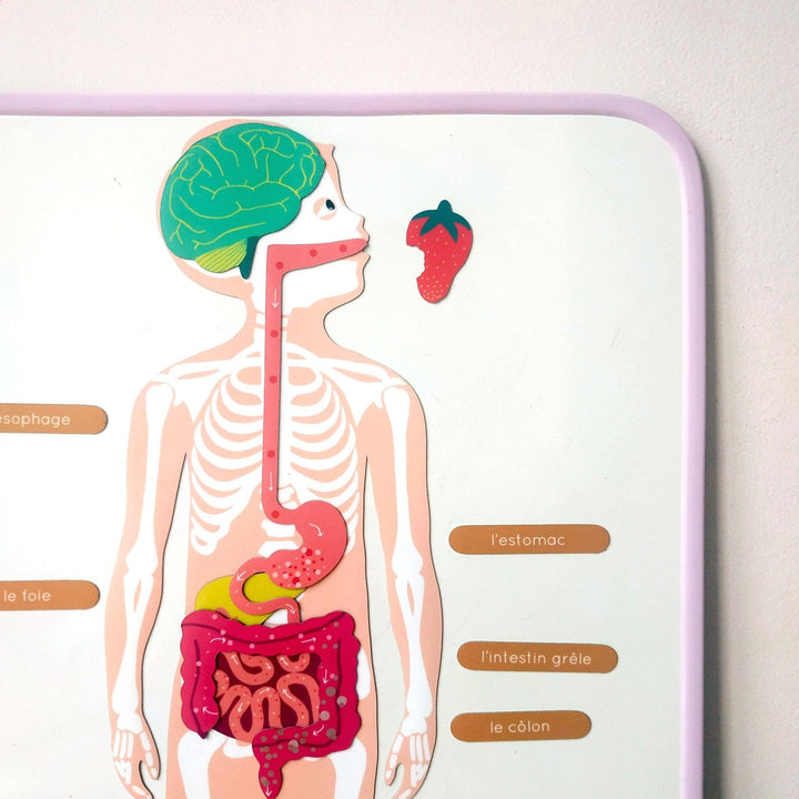 Ma Cabane À Rêves - Magnetic Whiteboard - Lilac (30x40cm) - Mabel & Fox