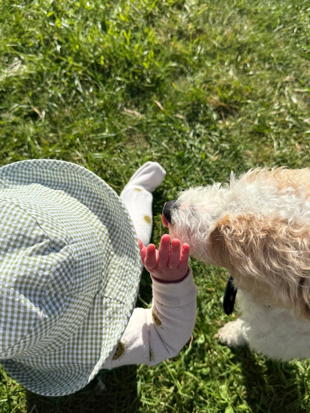 Mabel & Fox - Gingham Sun Hat - Sage - Mabel & Fox