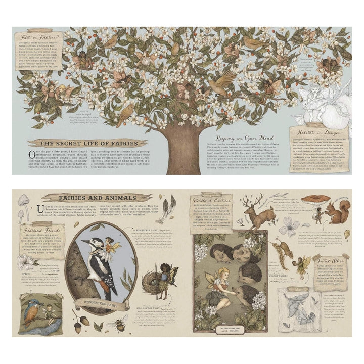 A Natural History of Fairies (Folklore Field Guides) - Mabel & Fox