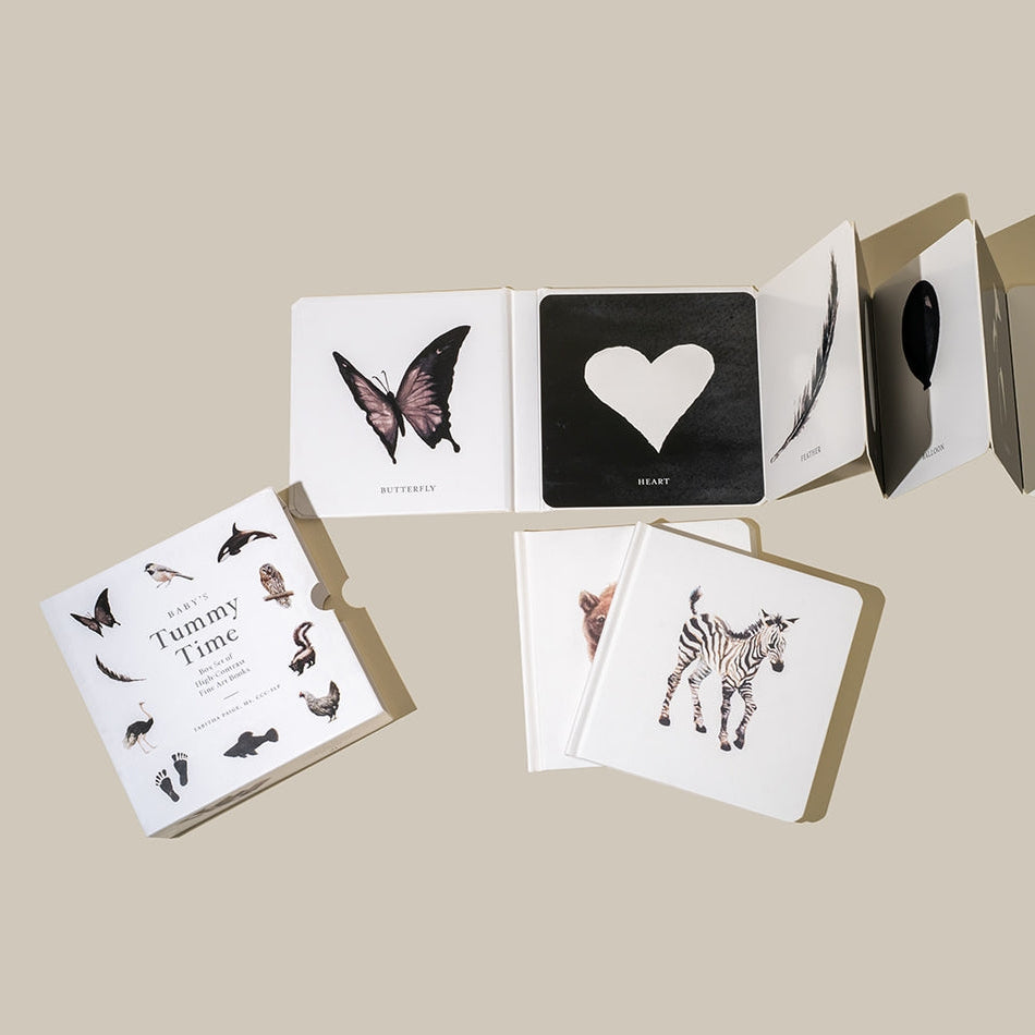 Paige Tate & Co. – Book Box Set – Baby’s Tummy Time Book Set - Mabel & Fox