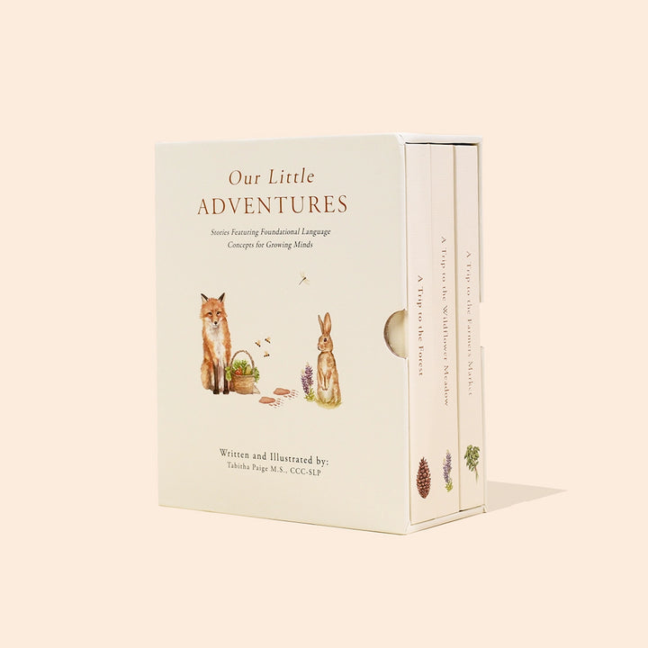 Paige Tate & Co. - Book Box Set - Our Little Adventures - Mabel & Fox