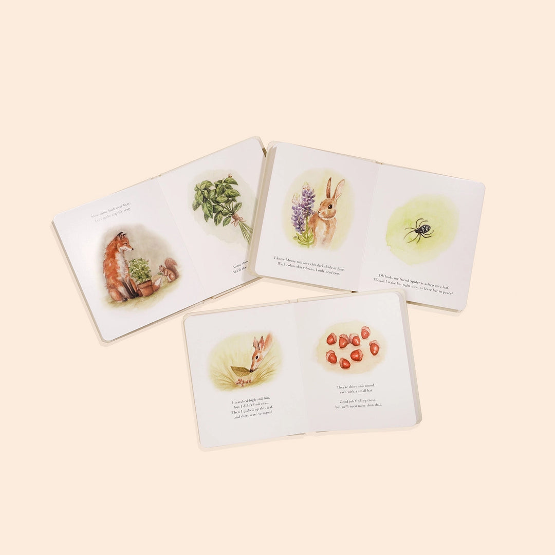 Paige Tate & Co. - Book Box Set - Our Little Adventures - Mabel & Fox