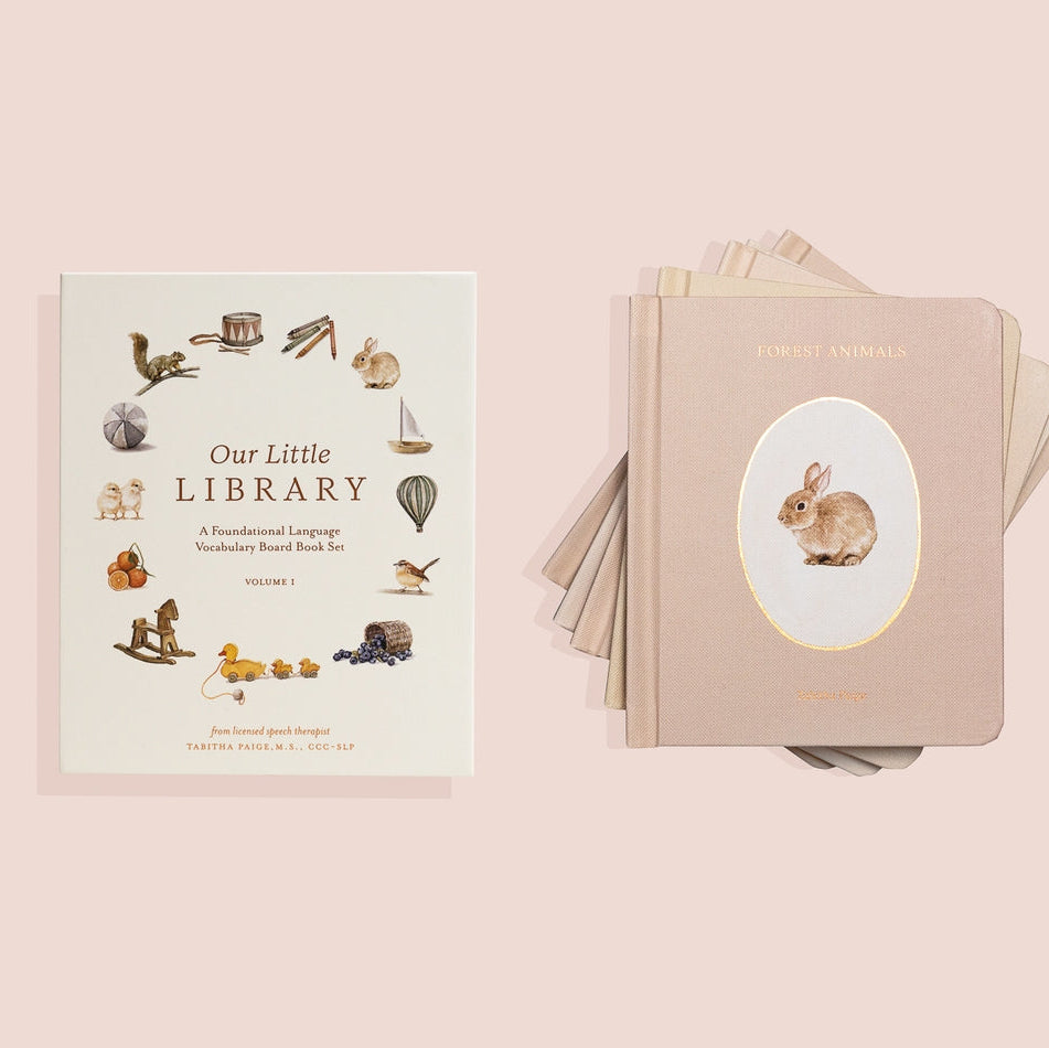 Paige Tate & Co. - Book Box Set - Our Little Library Vol. 1 - Mabel & Fox