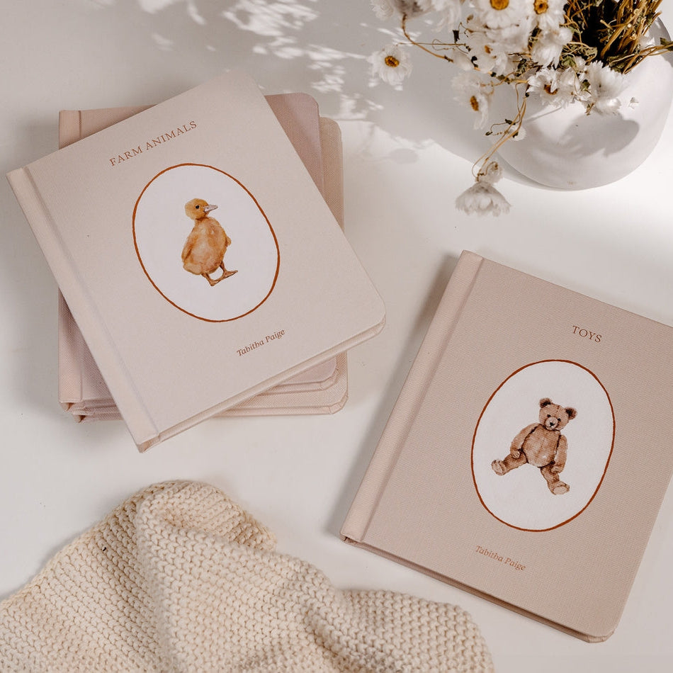 Paige Tate & Co. - Book Box Set - Our Little Library Vol. 1 - Mabel & Fox