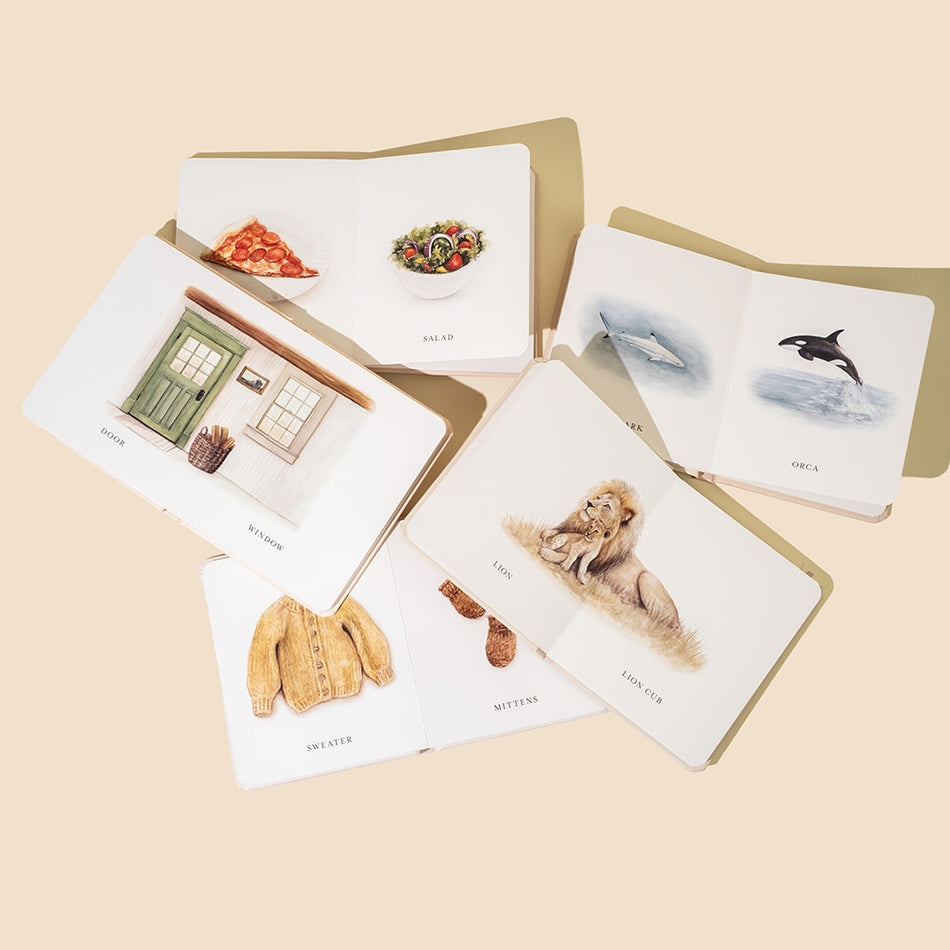 Paige Tate & Co. – Book Box Set – Our Little Library Vol. 2 - Mabel & Fox