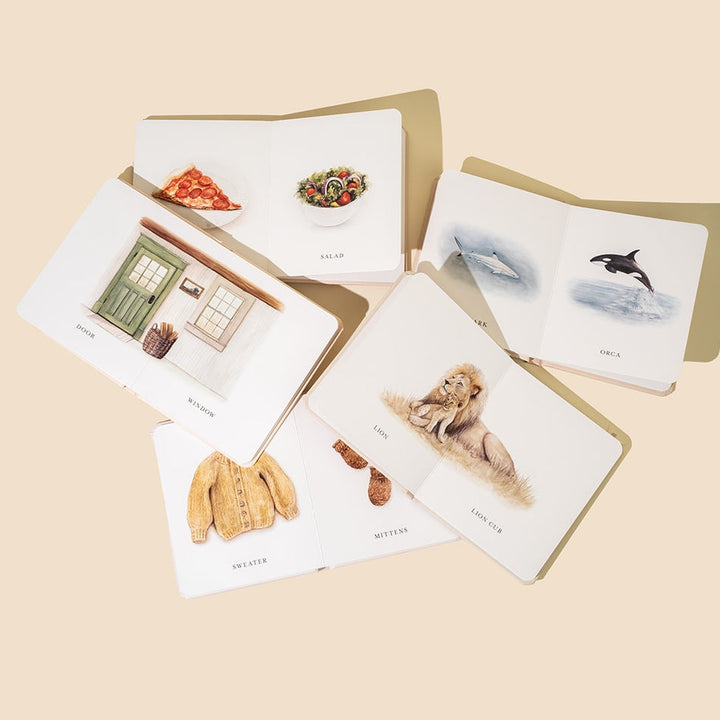 Paige Tate & Co. – Book Box Set – Our Little Library Vol. 2 - Mabel & Fox