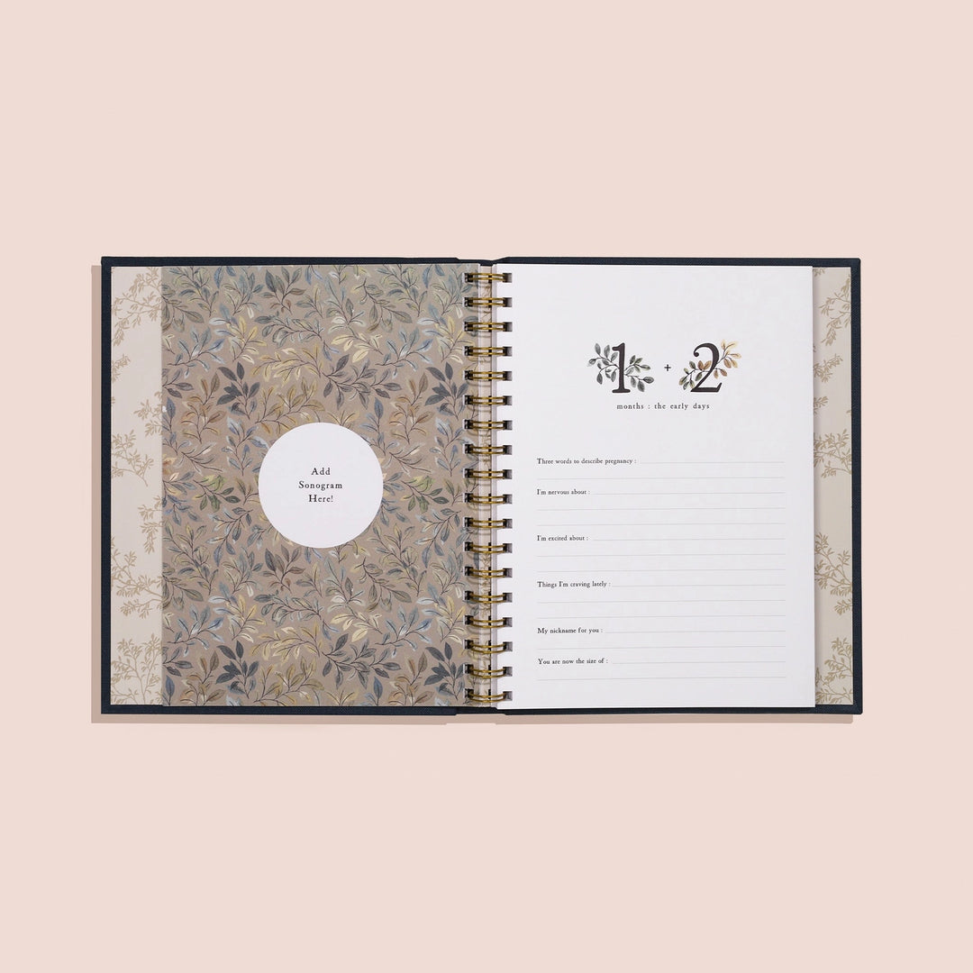 Paige Tate & Co. - Growing You: Pregnancy Guided Journal and Keepsake Book - Mabel & Fox