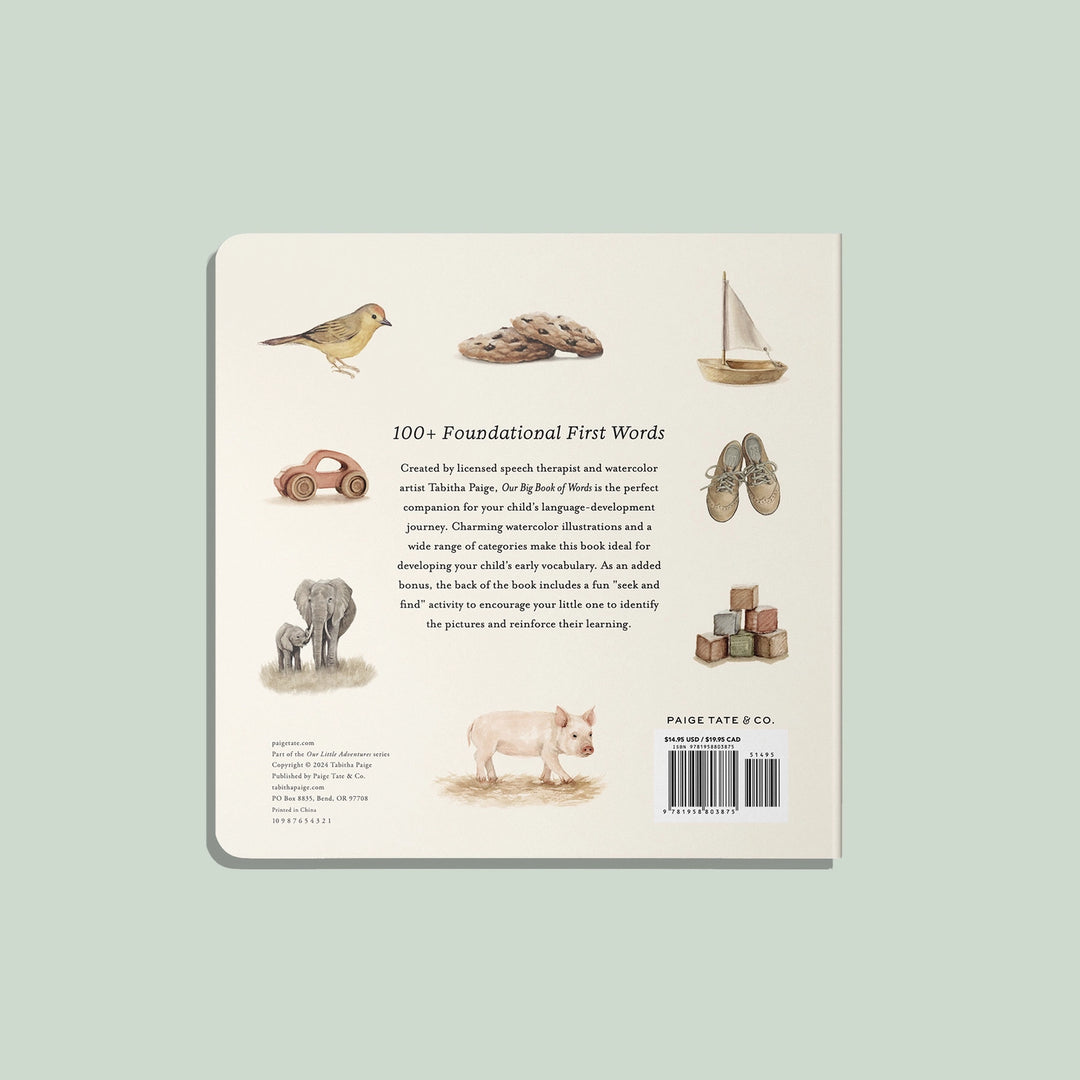 Paige Tate & Co. - Our Big Book of First Words - Mabel & Fox