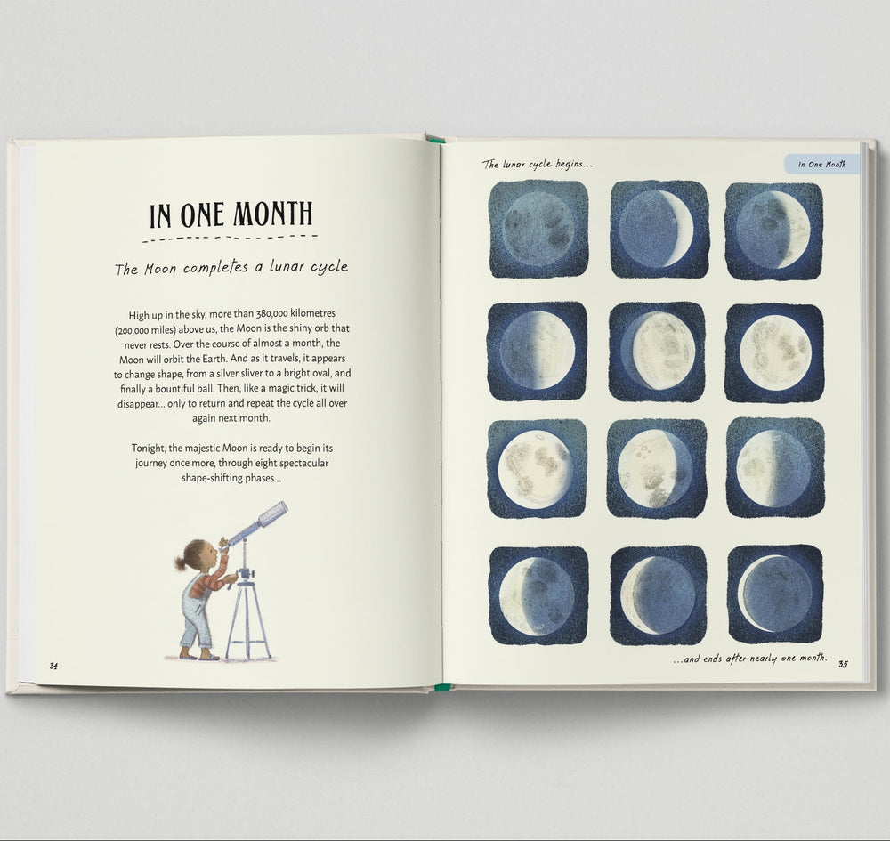 Patience - Mabel & Fox