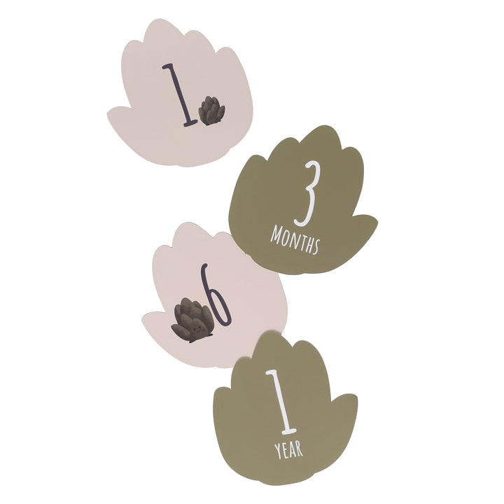 Petit Artichaut – Birth Gift Set - Mabel & Fox