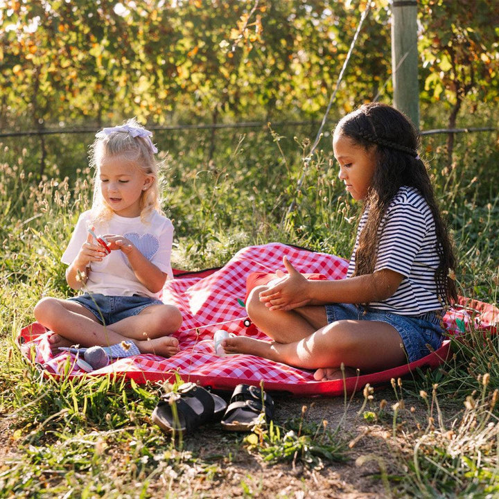 Play & Go – Activity Playmat & Storage Bag – Picnic