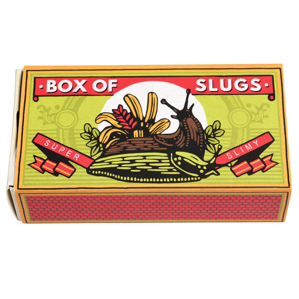 Rex London - Box Of Two Slimy Slugs - Mabel & Fox