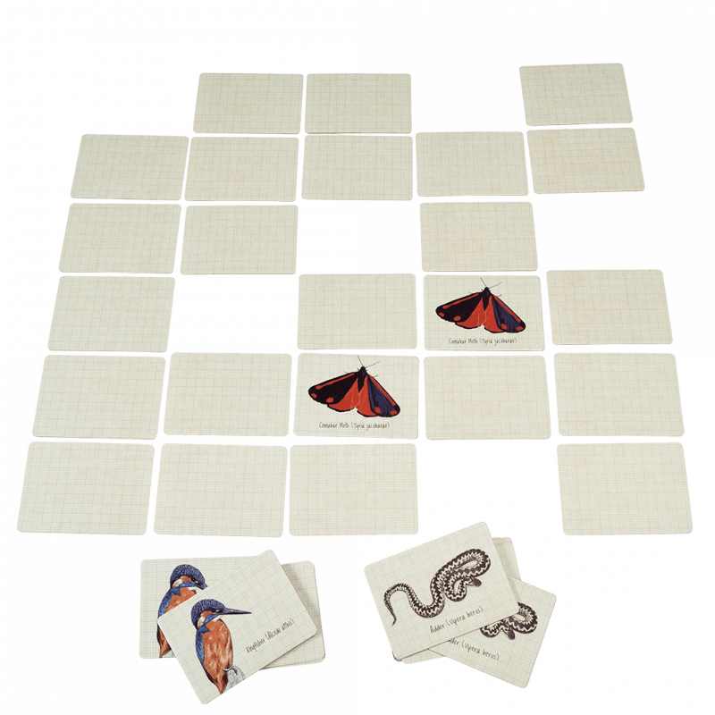 Rex London - Memory game - Nature Trail - Mabel & Fox
