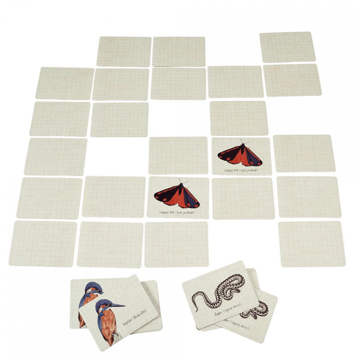 Rex London - Memory game - Nature Trail - Mabel & Fox