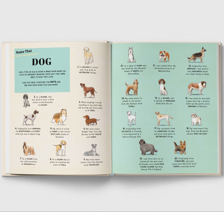 Name That Thing! - Mabel & Fox