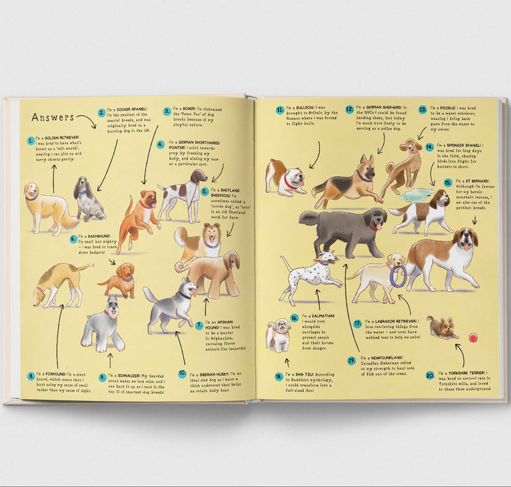 Name That Thing! - Mabel & Fox