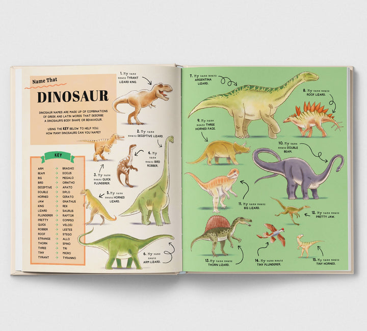 Name That Thing! - Mabel & Fox