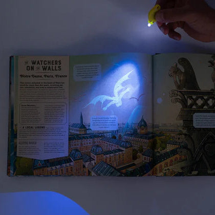 Shine Your Magic Torch: Magical Creatures and Mythical Beasts - Mabel & Fox