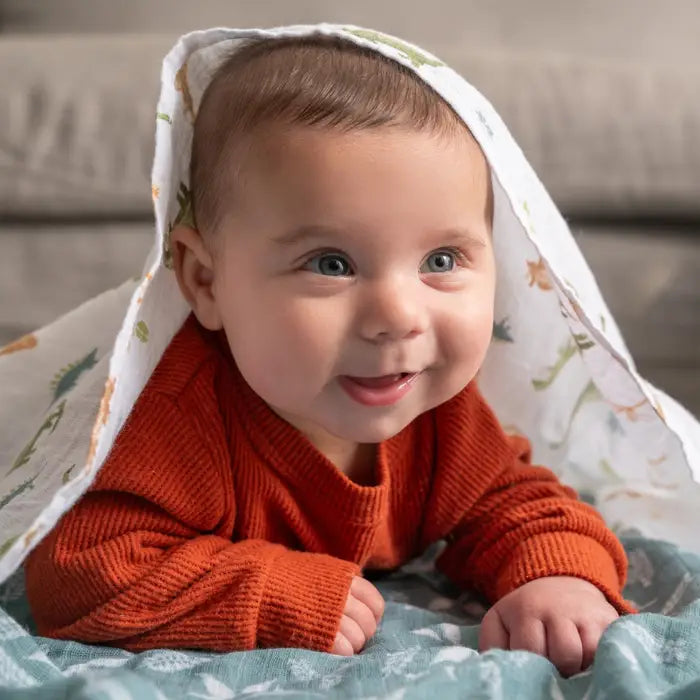 Aden swaddle blankets online