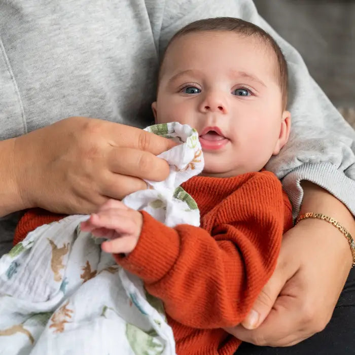 Aden Anais Muslin Swaddle Blankets Dinosaur Jungle 4 Pack Mabel Fox