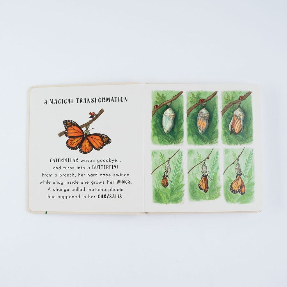 Slow Down... On Your Doorstep - Mabel & Fox