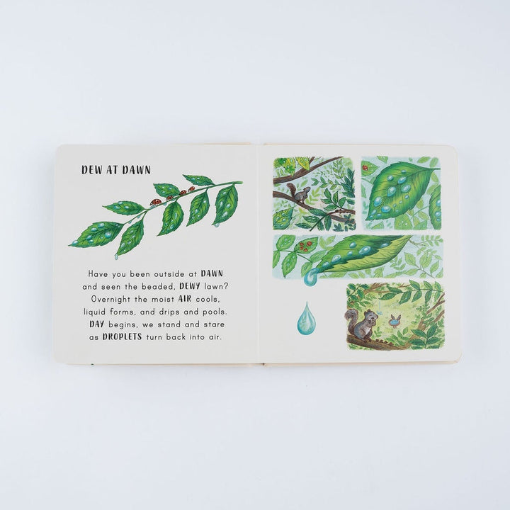 Slow Down... On Your Doorstep - Mabel & Fox