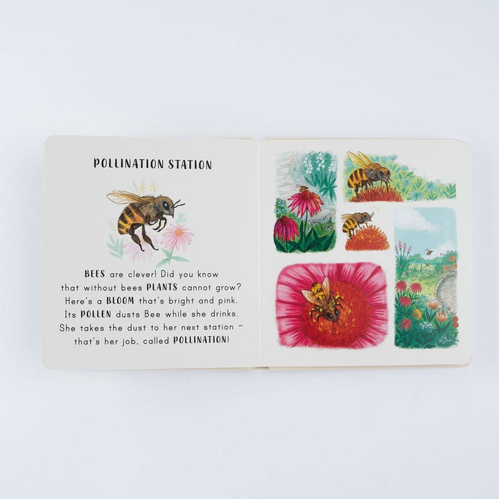 Slow Down... On Your Doorstep - Mabel & Fox