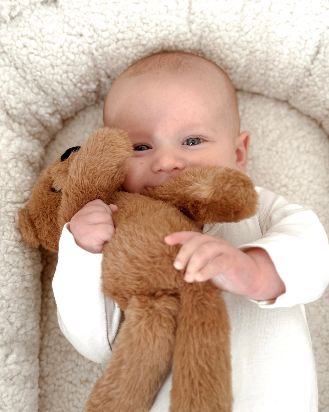 Softies Cuddly Toy - Long Leg Teddy Bear - Hampton - Mabel & Fox